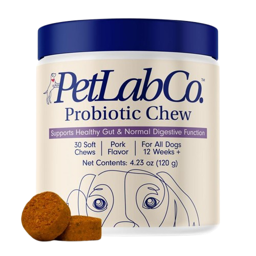 Probiotics for Seasonal Allergies, Gut, and Digestive Health