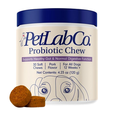 Probiotics for Seasonal Allergies, Gut, and Digestive Health