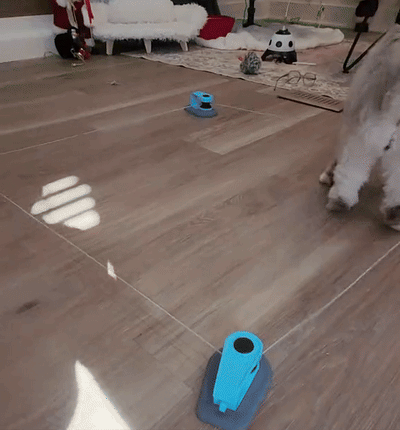 Petwoof Smart Feather Toy – Adjustable Speed & Remote Control