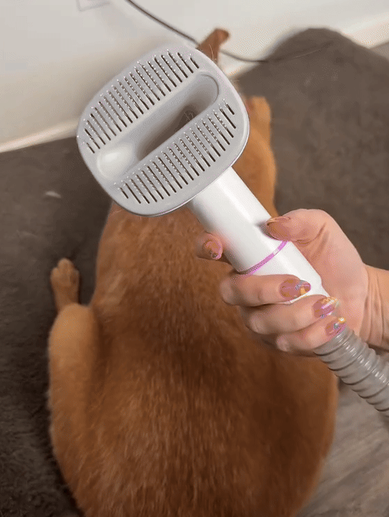 Brush & Vacuum
